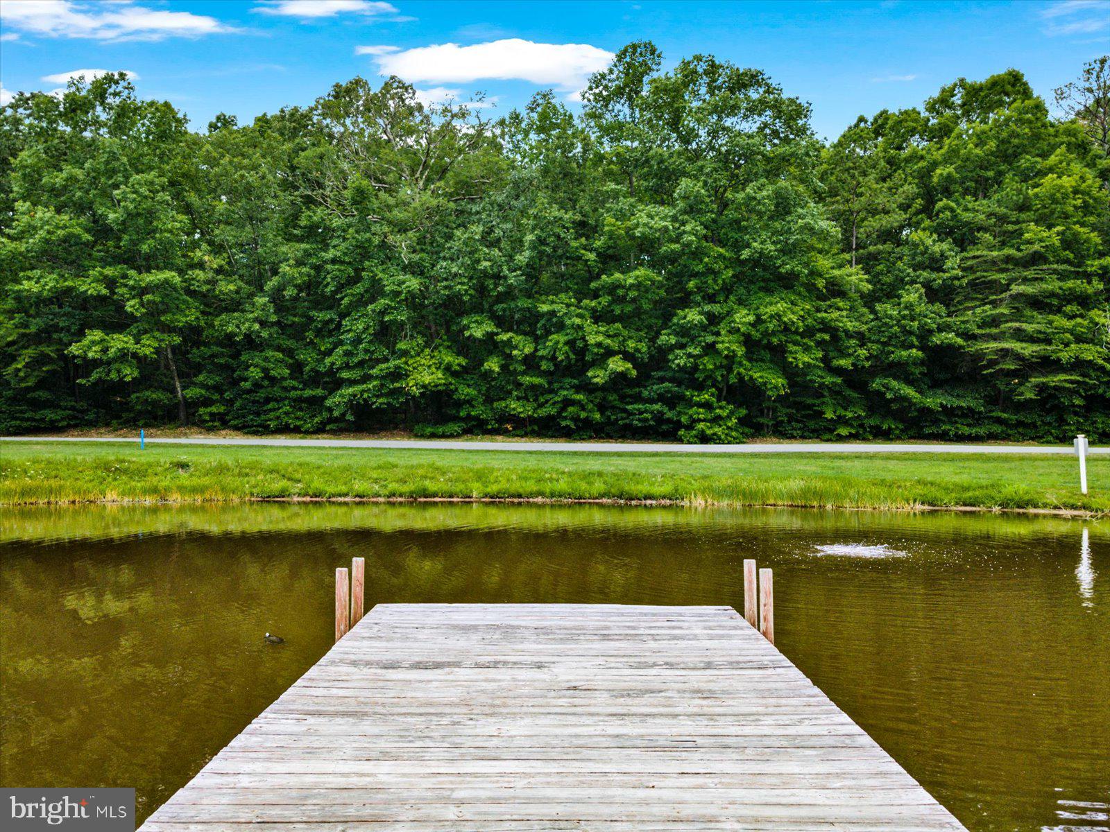 681 Welsh Drive Ruther Glen, VA 22546 - Photo 44 of 46