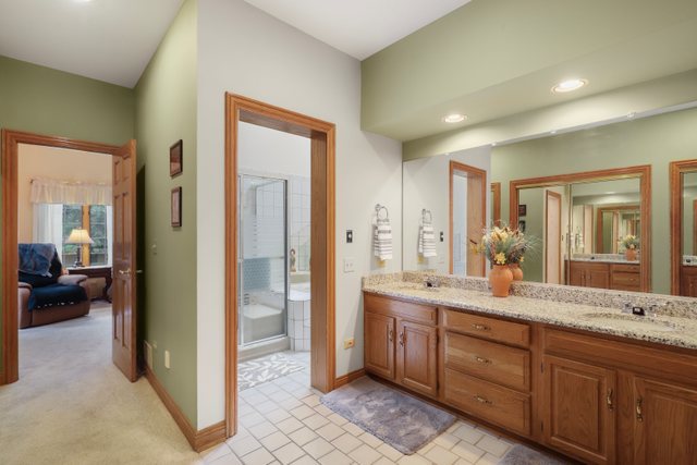 420 Timber Ridge Drive Bartlett, IL 60103 - Photo 6 of 23 a spacious bathroom with a granite countertop sink mirror and a