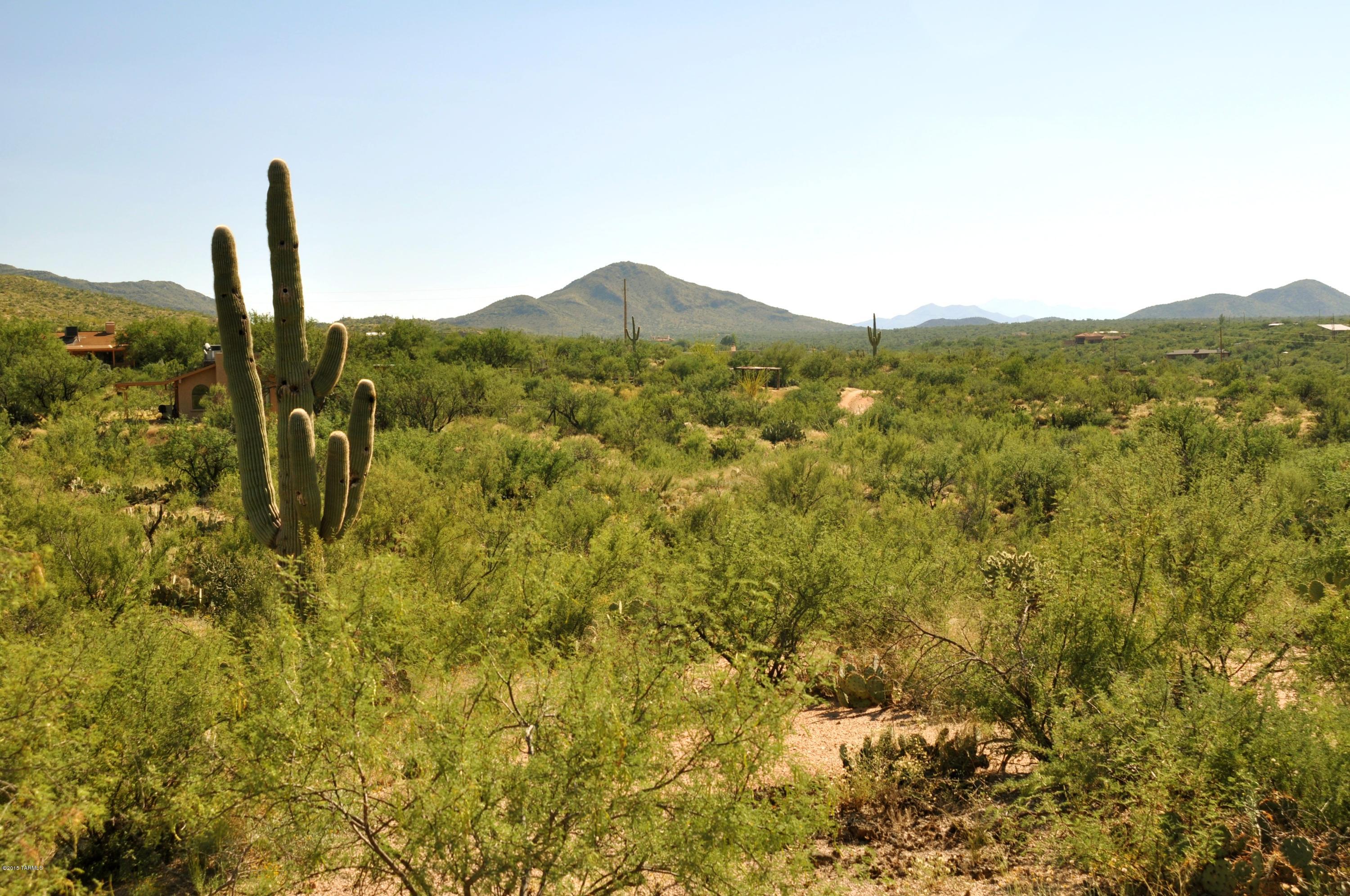 7542 South Pistol Hill Road Vail, AZ 85641 - Photo 3 of 16