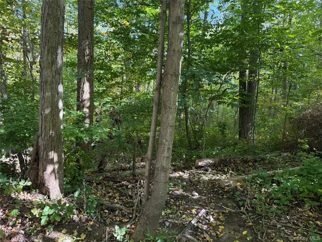 a view of outdoor space and green space