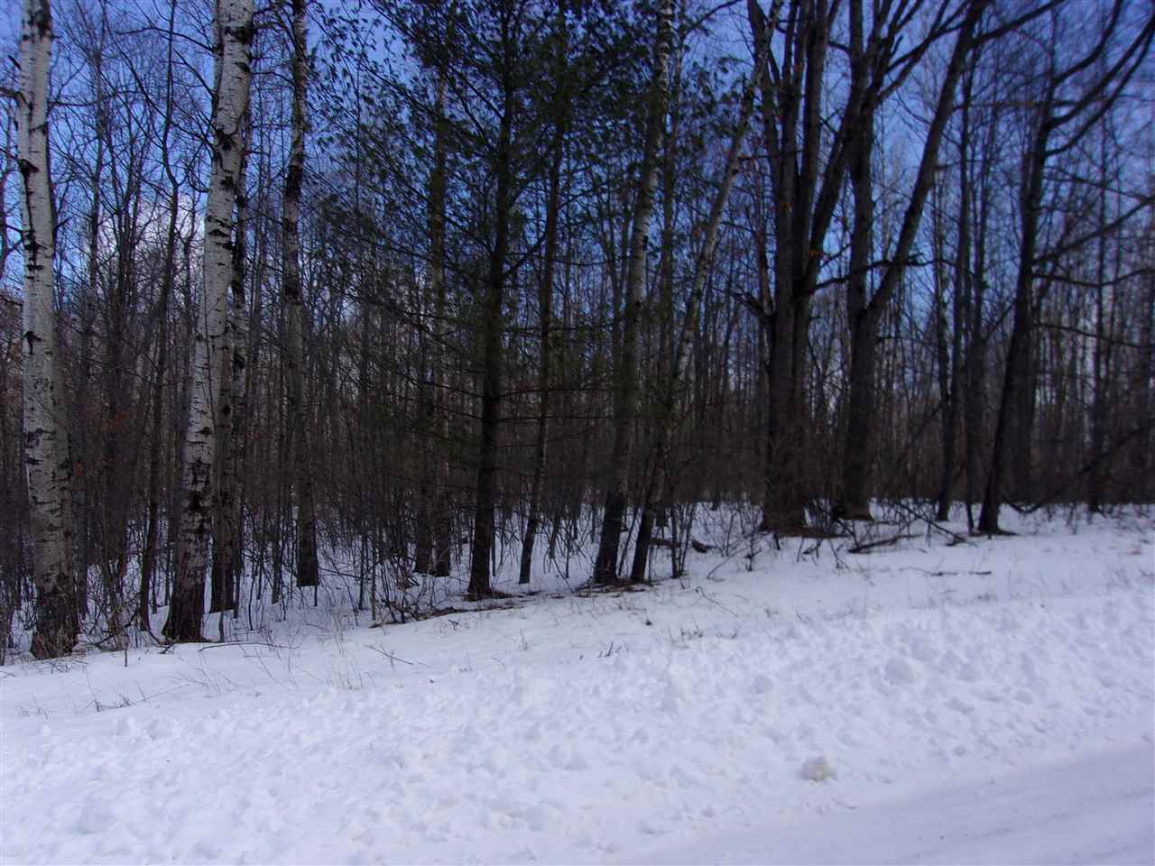 Tbd Tbd Adams Lake Lake, MI 48632 - Photo 4 of 7