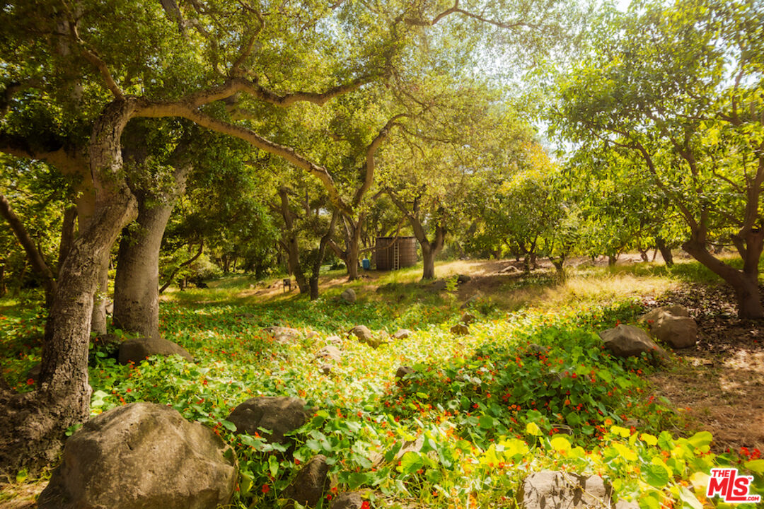 405 Toro Canyon Road Carpinteria, CA 93013 - Photo 71 of 75