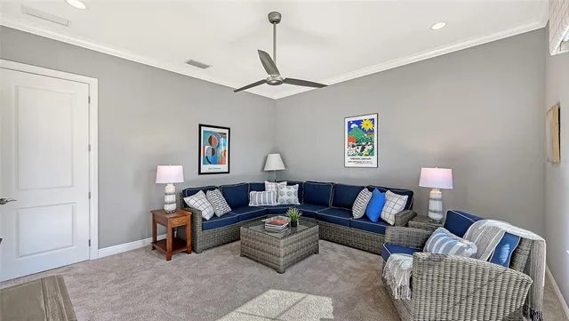 a view of a park with palm trees