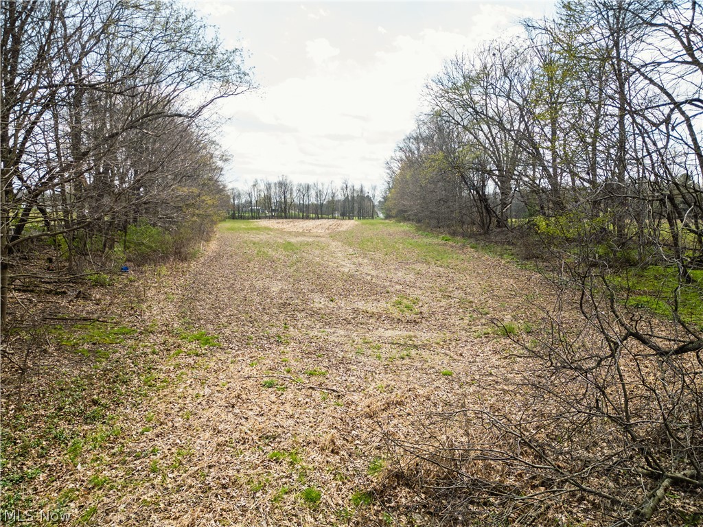 Steiner Road Sterling, OH 44276 - Photo 19 of 22