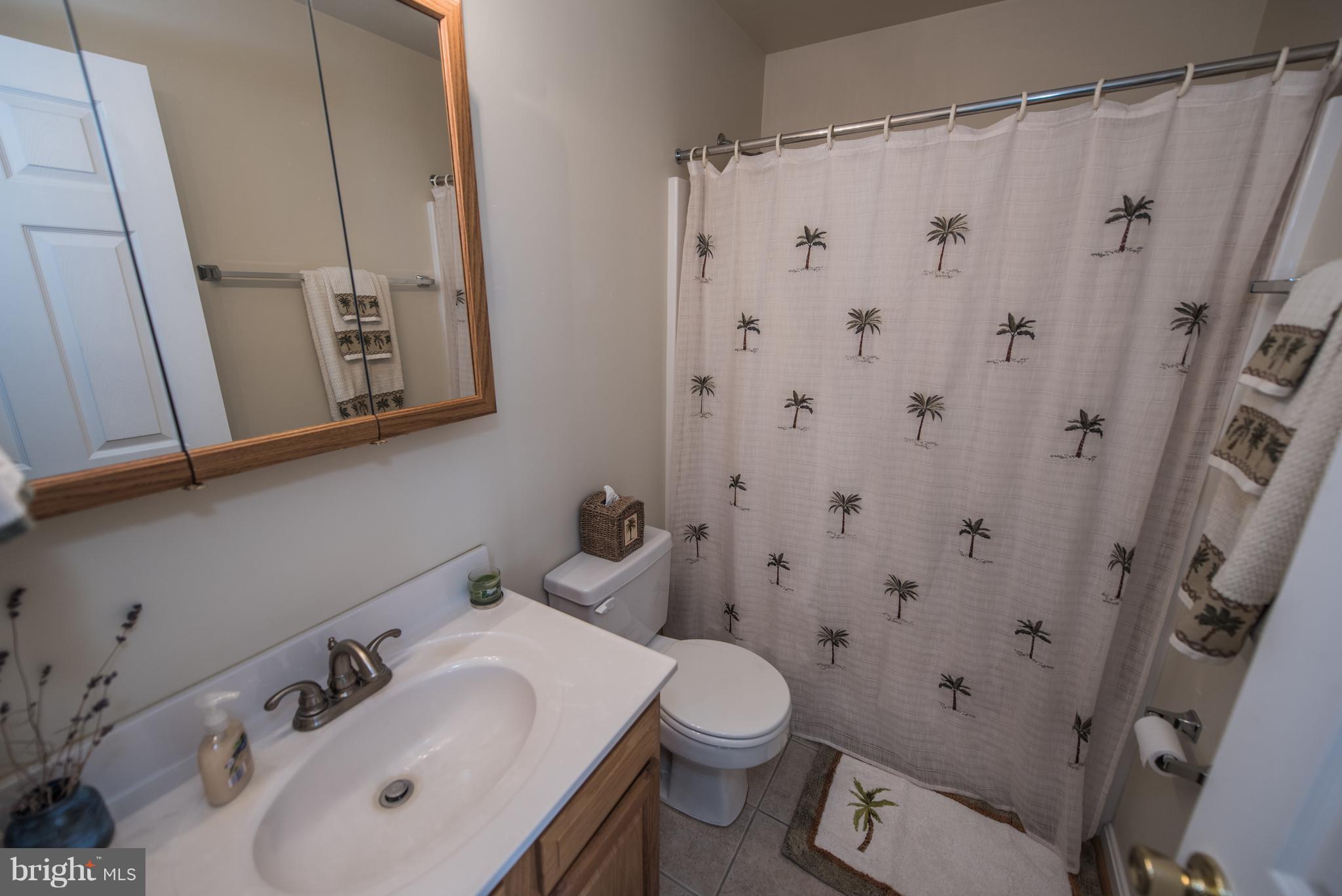 964 Granny Smith Road Linden, VA 22642 - Photo 20 of 30 a bathroom with a sink and a mirror