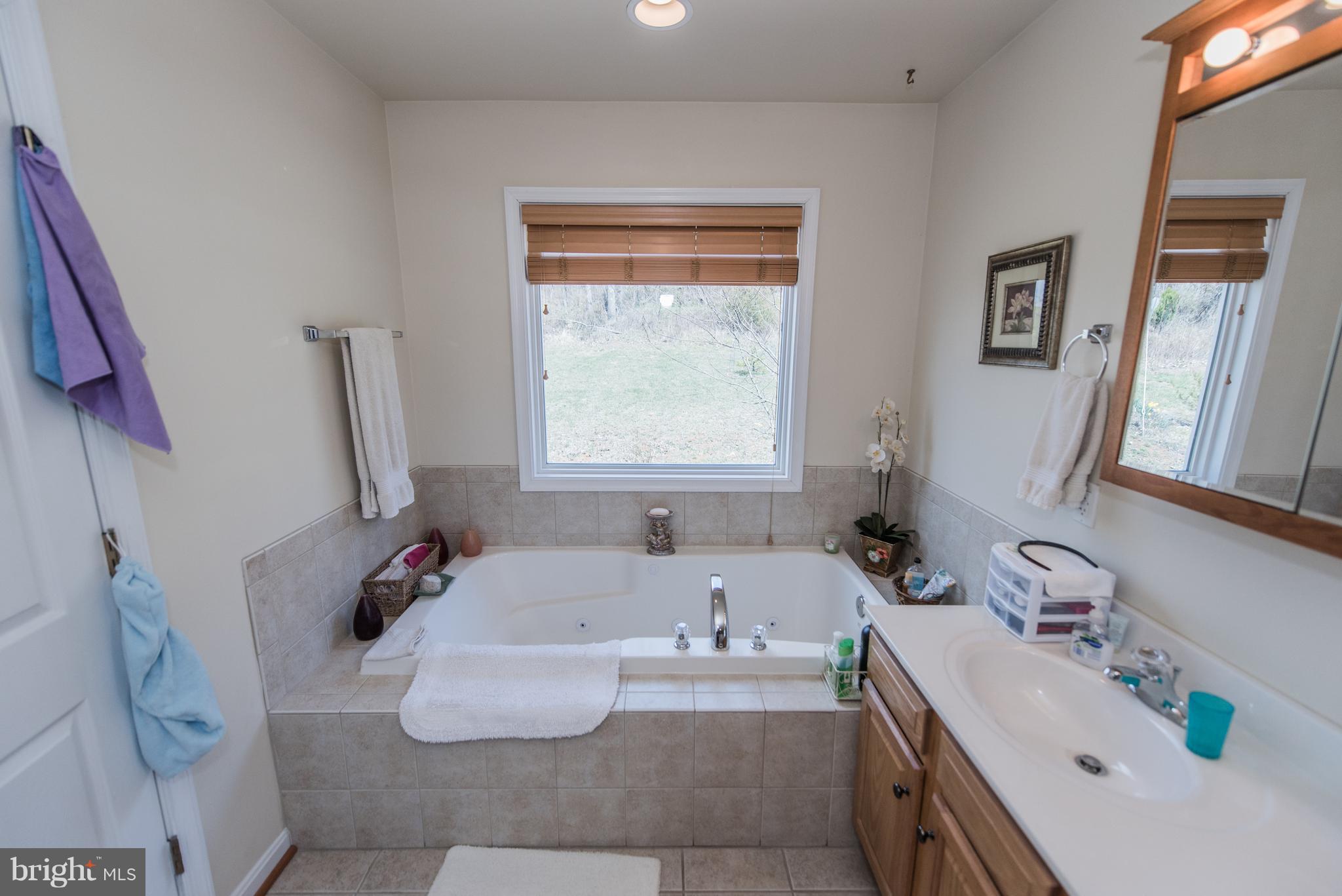 964 Granny Smith Road Linden, VA 22642 - Photo 28 of 30 a bathroom with a tub sink and mirror