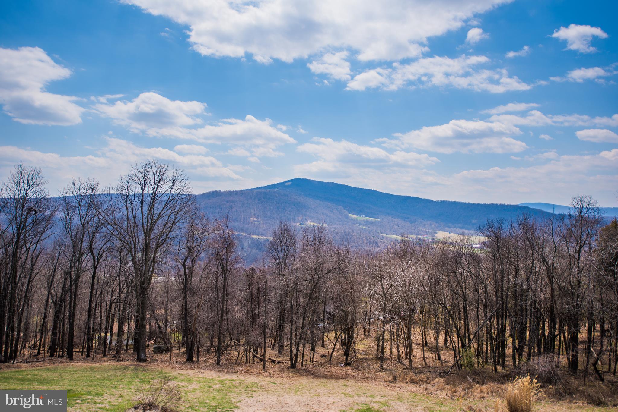 964 Granny Smith Road Linden, VA 22642 - Photo 6 of 30 a view of a yard with wooden fence