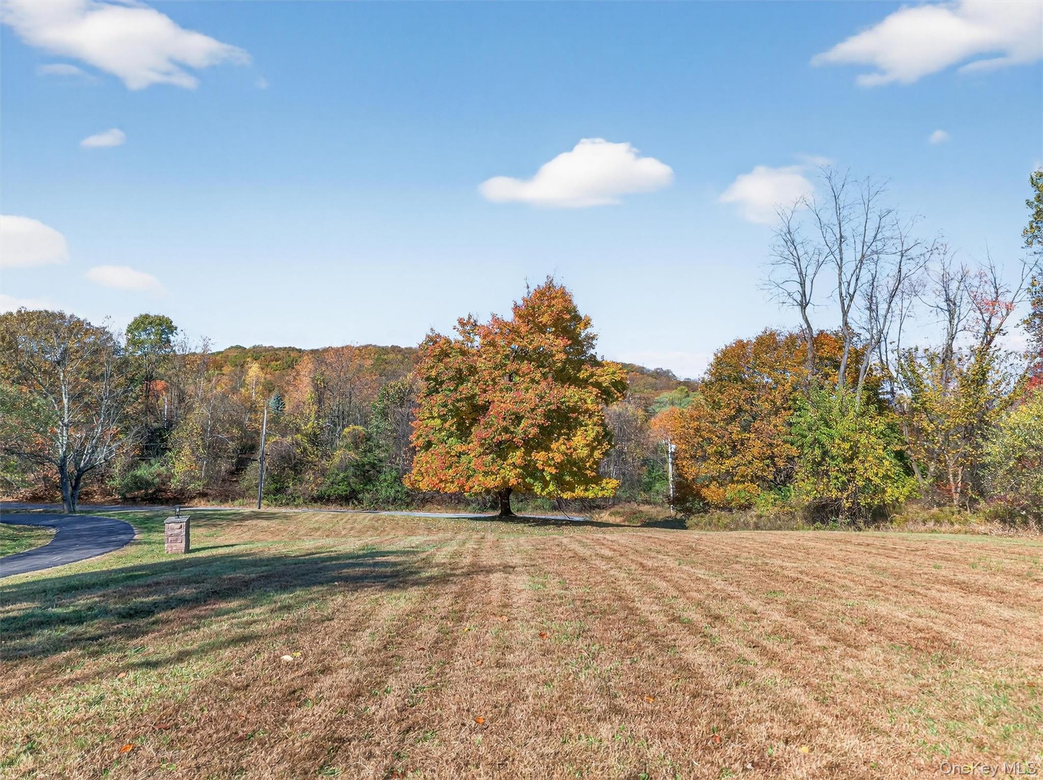 11 Deer Meadow Road Warwick, NY 10990 - Photo 41 of 42 a view of mountain view with trees