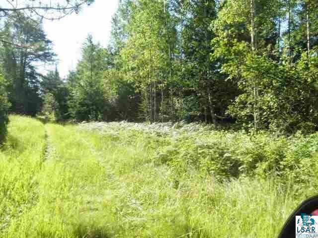 Xxx Shaver Road Babbitt, MN 55706 - Photo 1 of 5