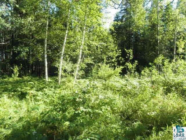 Xxx Shaver Road Babbitt, MN 55706 - Photo 2 of 5