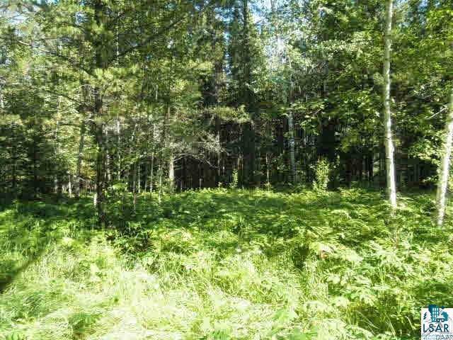 Xxx Shaver Road Babbitt, MN 55706 - Photo 3 of 5