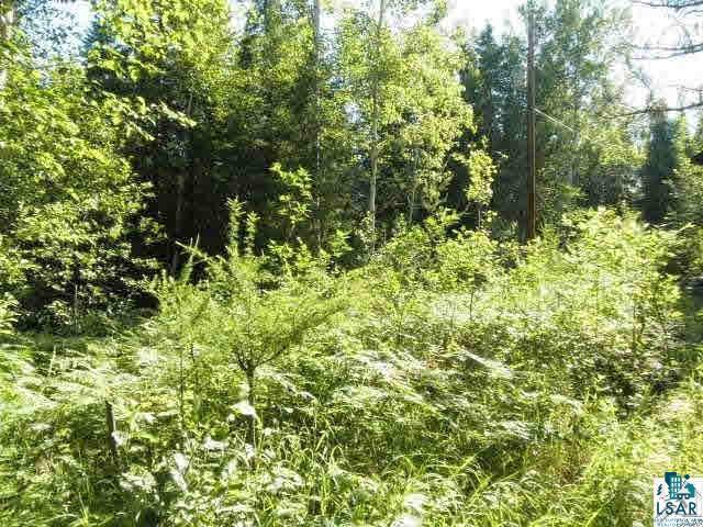 Xxx Shaver Road Babbitt, MN 55706 - Photo 4 of 5