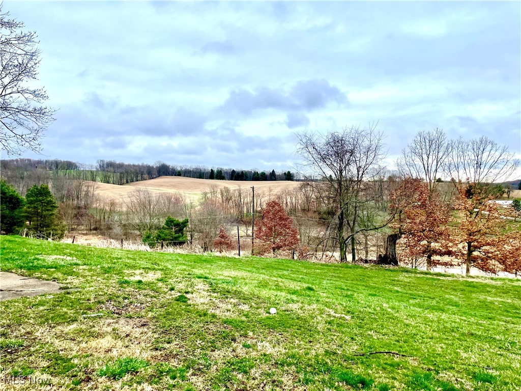 9810 Ziegler Road Hanoverton, OH 44423 - Photo 15 of 18 View of yard featuring a rural view