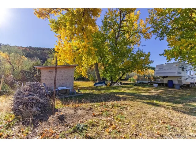 a view of a yard with a tree