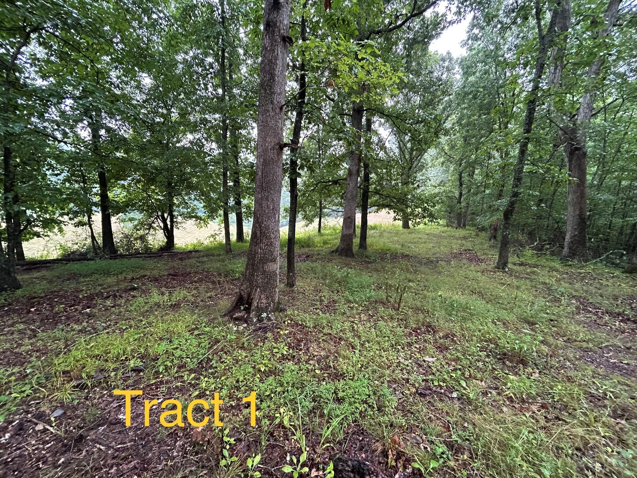 1 Langdon Branch Road Annville, KY 40402 - Photo 11 of 30 Tract 1-15 ak