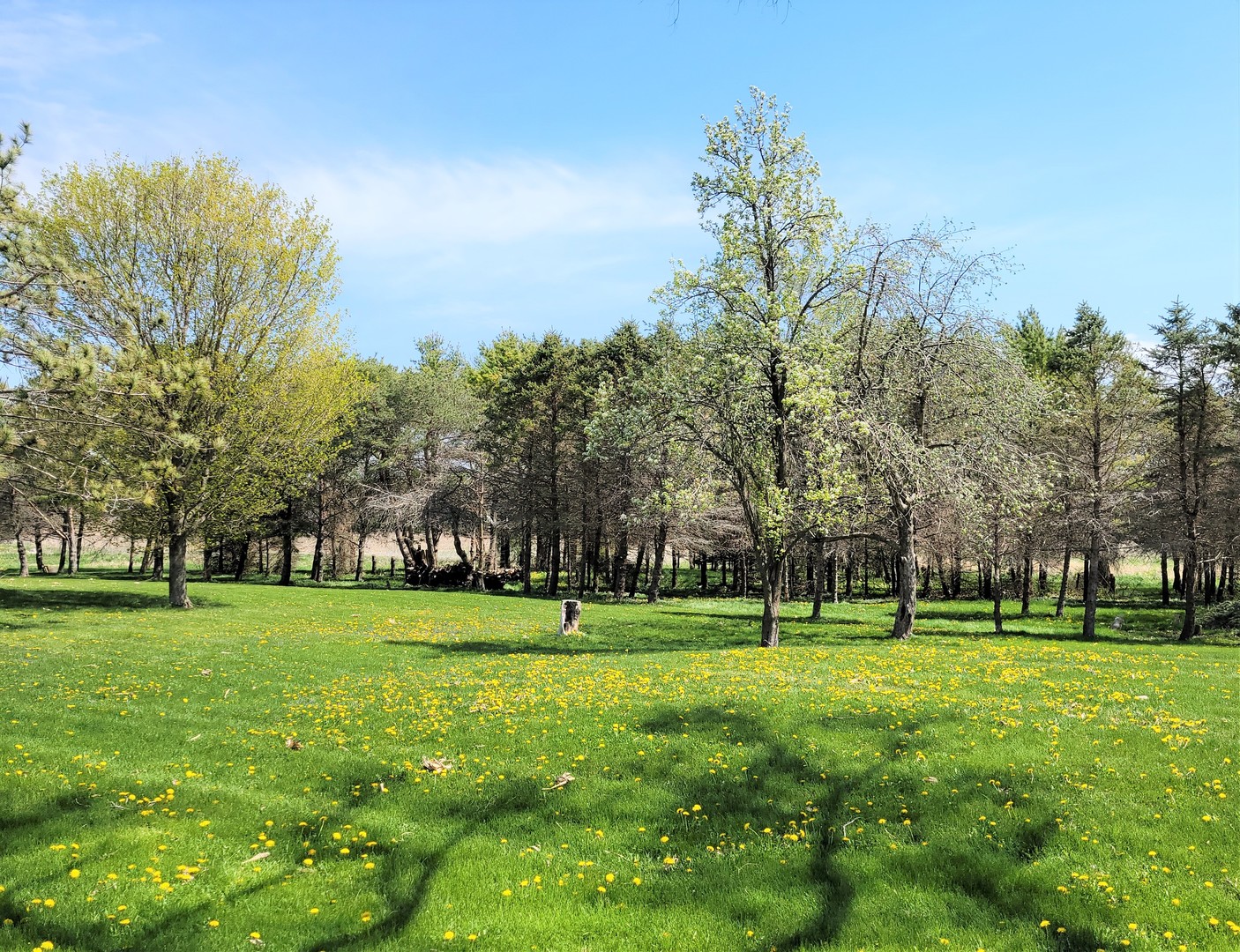 11718 Thayer Road Hebron, IL 60034 - Photo 4 of 9 a view of a park with large trees