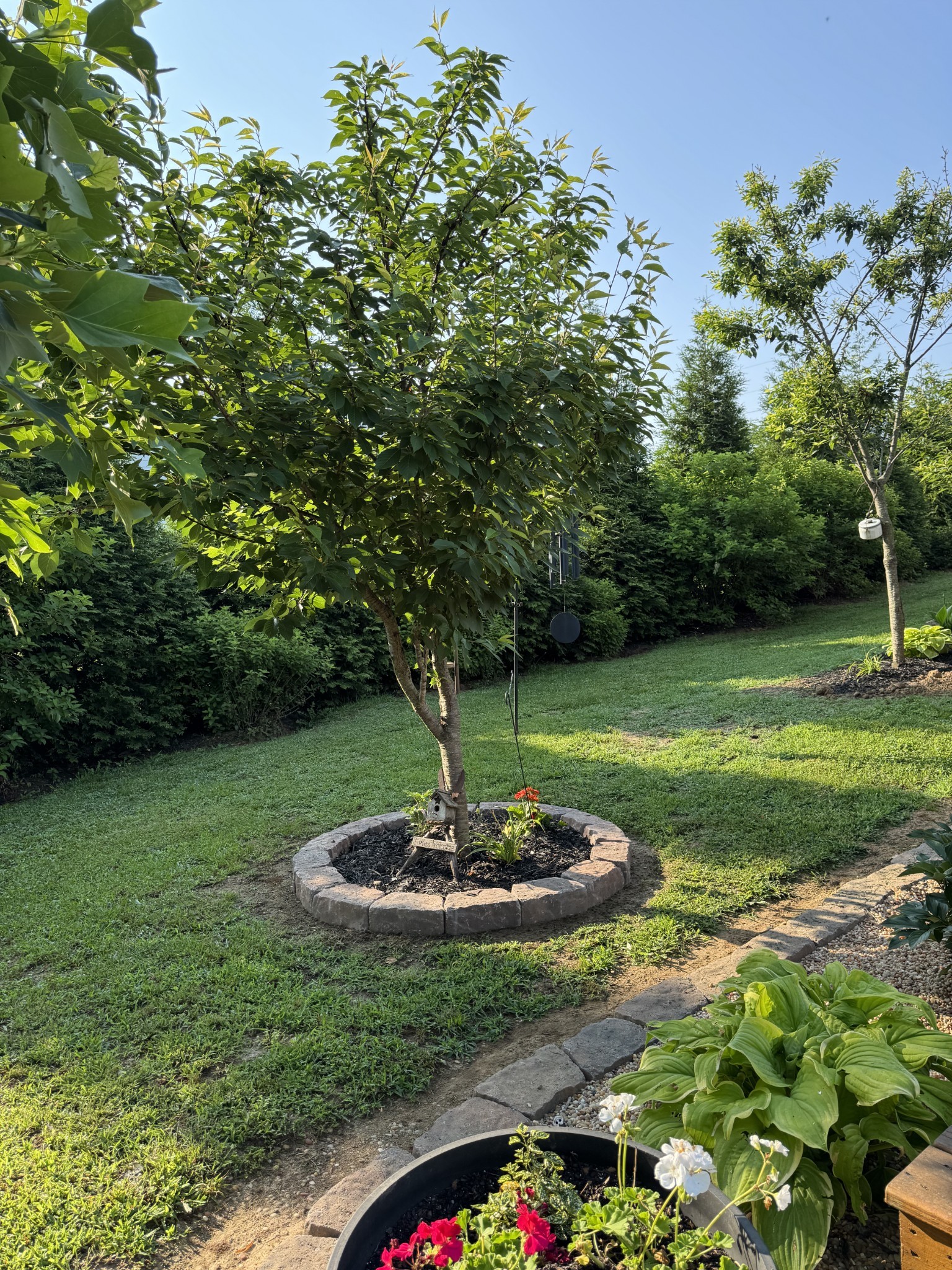 605 Compton Lane Columbia, TN 38401 - Photo 35 of 37