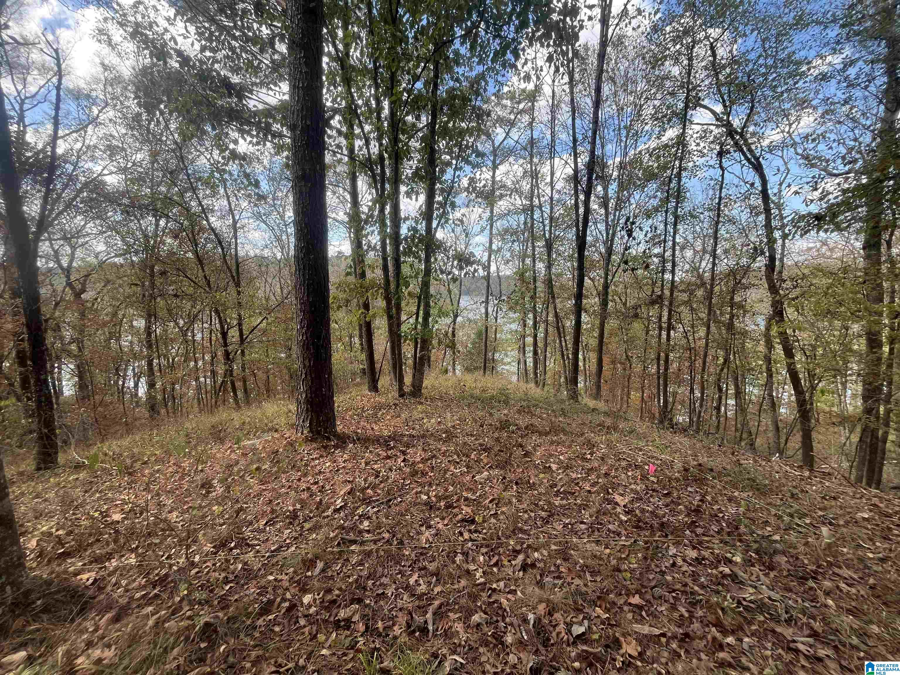 Eagle Port Road, Unit 7&8 Quinton, AL 35130 - Photo 3 of 12