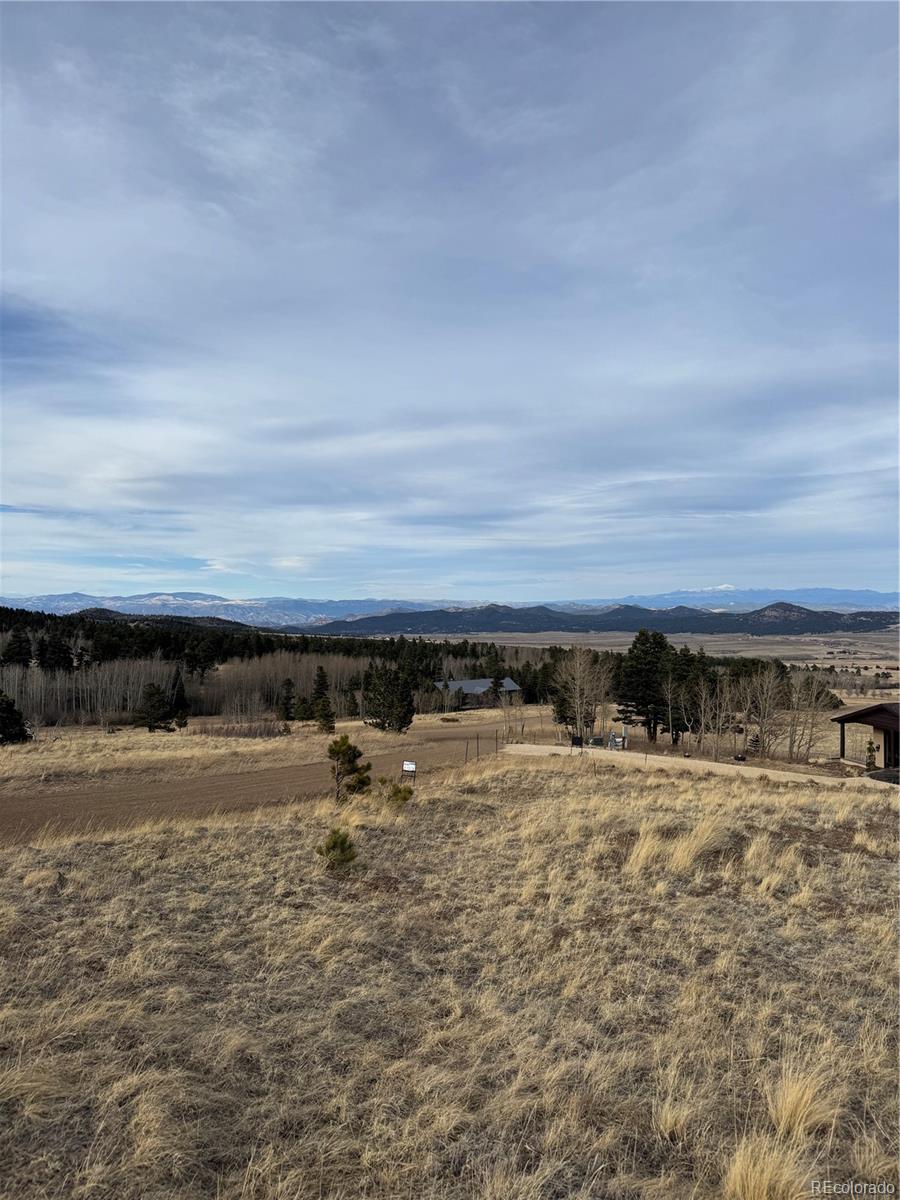 0 Louisiana Ridge Westcliffe, CO 81252 - Photo 2 of 8