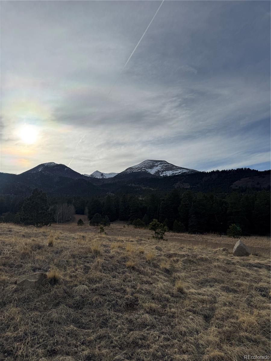 0 Louisiana Ridge Westcliffe, CO 81252 - Photo 3 of 8