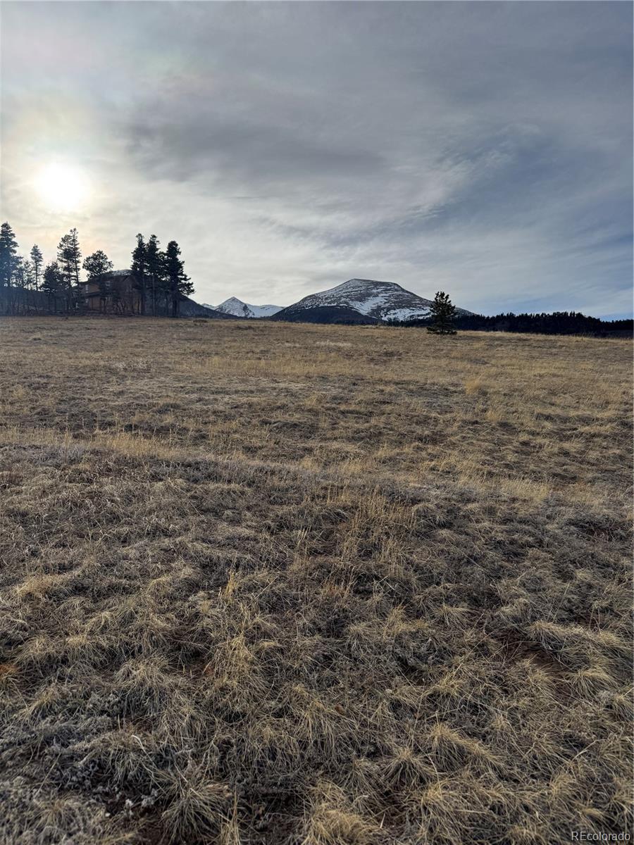 0 Louisiana Ridge Westcliffe, CO 81252 - Photo 4 of 8