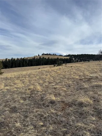 $75,000 | 0 Louisiana Ridge, Westcliffe, CO 81252