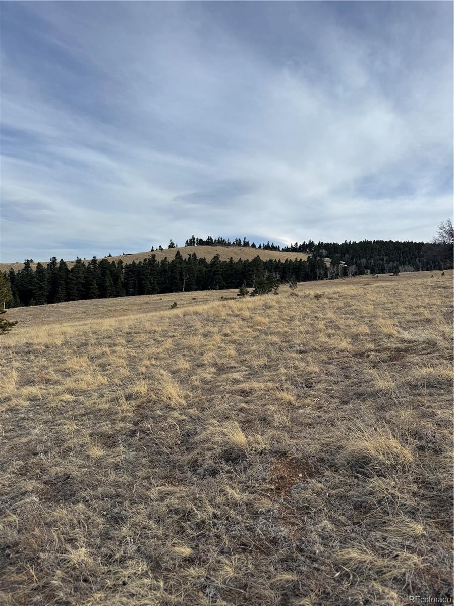0 Louisiana Ridge Westcliffe, CO 81252 - Photo 5 of 8