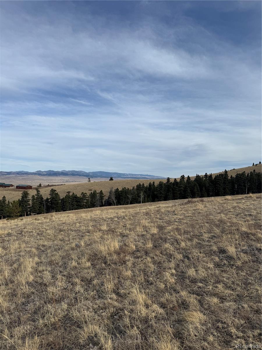 0 Louisiana Ridge Westcliffe, CO 81252 - Photo 6 of 8
