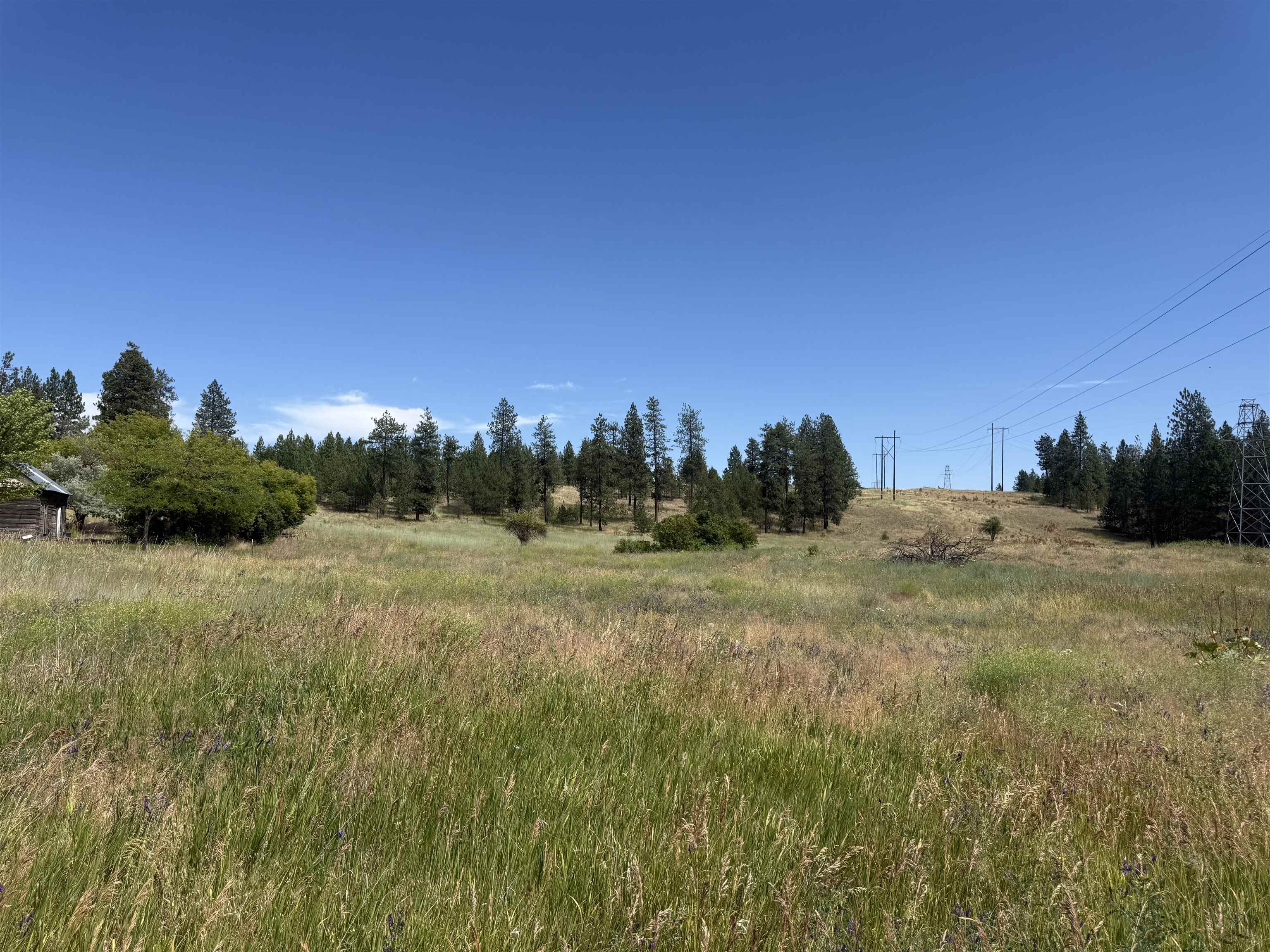 15211 North Wood Road Ford, WA 99013 - Photo 10 of 46 Gallery Image 10