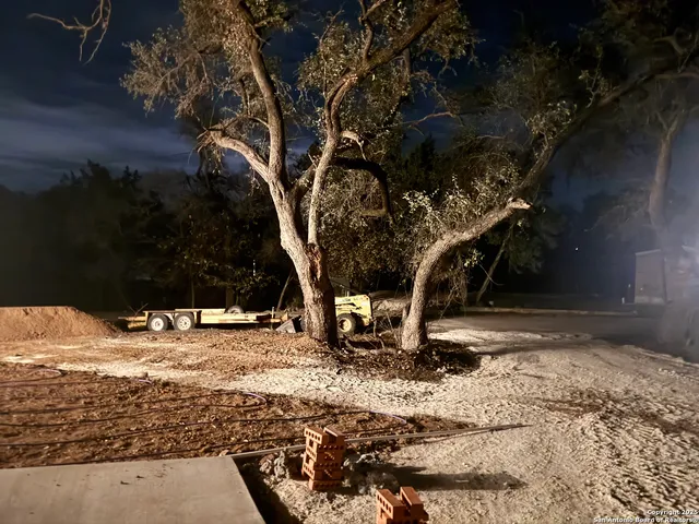 a view of outdoor space with trees