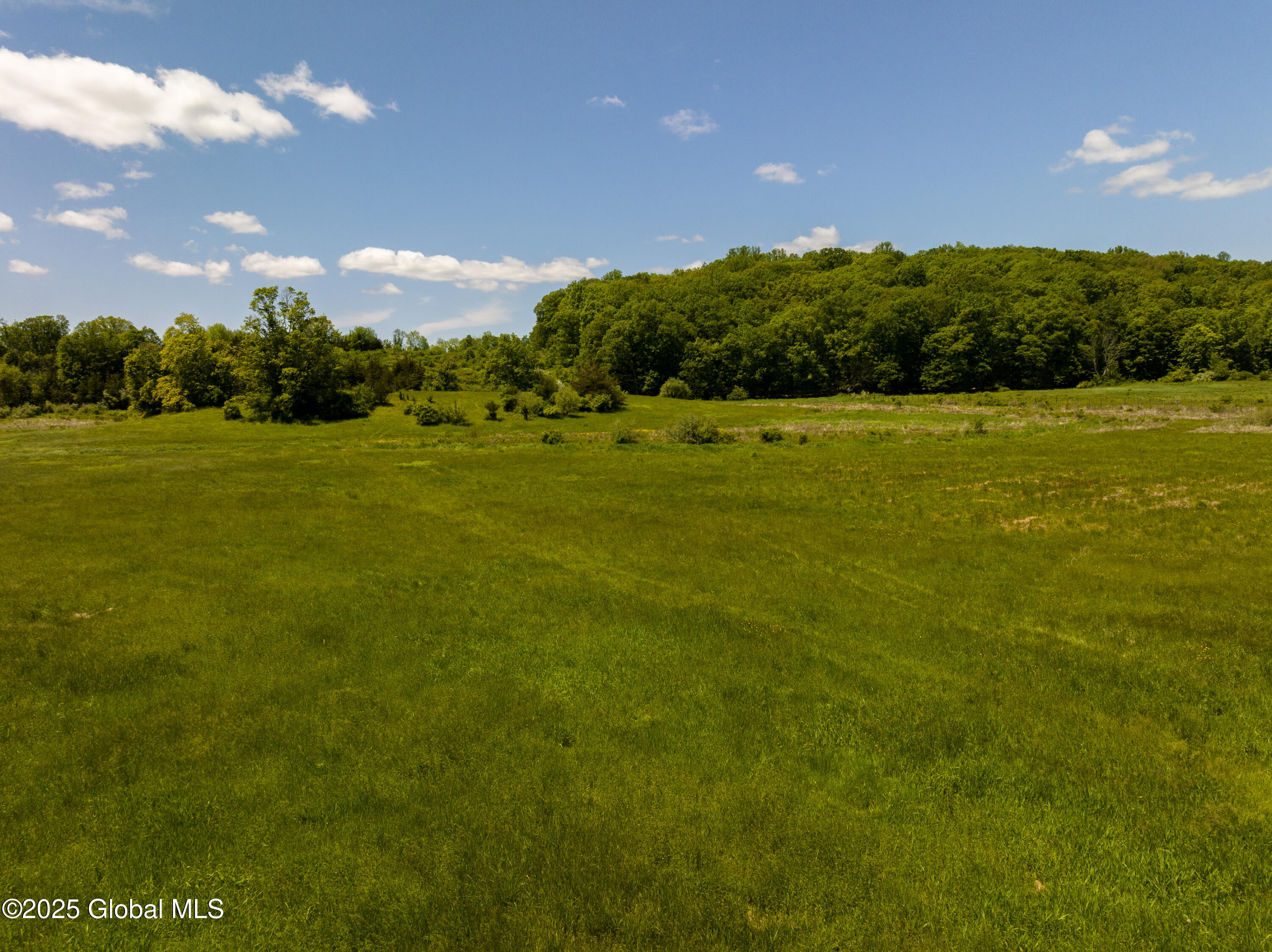 0 Rowe Road Milan, NY 12571 - Photo 3 of 4 Alon-Koppel-Photography-DJI_0857