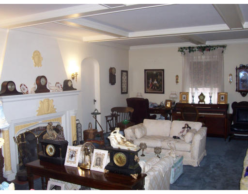 61 Shaw Road Brookline, MA 02467 - Photo 3 of 4 a living room with furniture and a fireplace