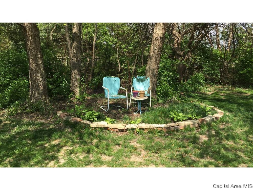 4938 Oak Hill Road Rochester, IL 62563 - Photo 8 of 36