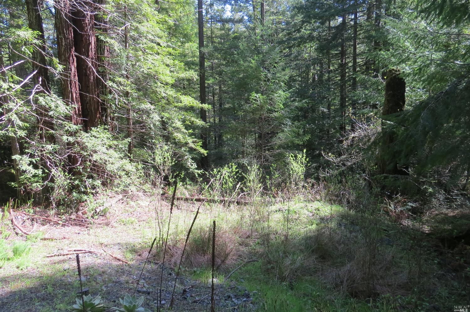 16150 Bittner Road Occidental, CA 95465 - Photo 1 of 1 Gallery Image 1