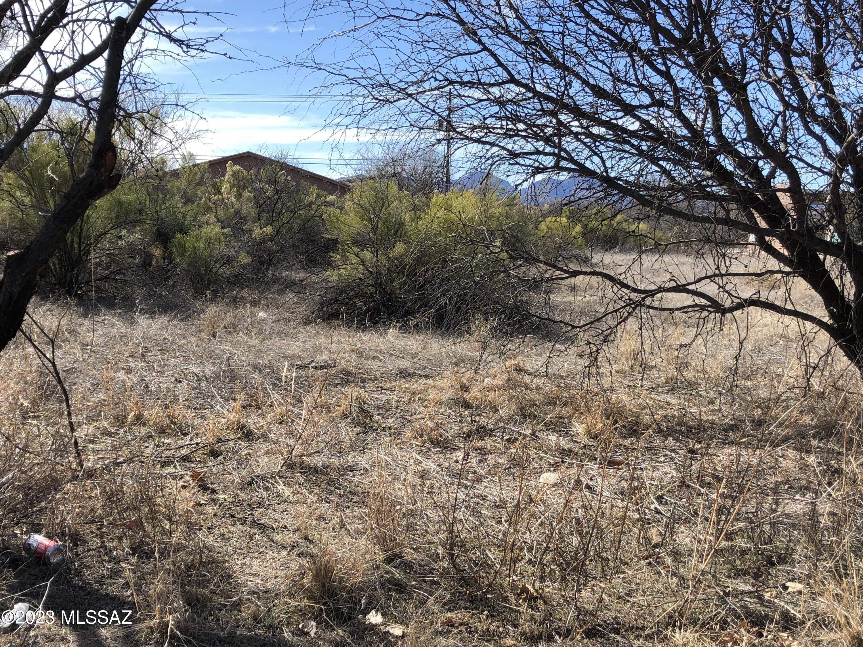 1178 Circulo Mercado, Unit 33 Rio Rico, AZ 85648 - Photo 2 of 3 a view of a yard with a tree