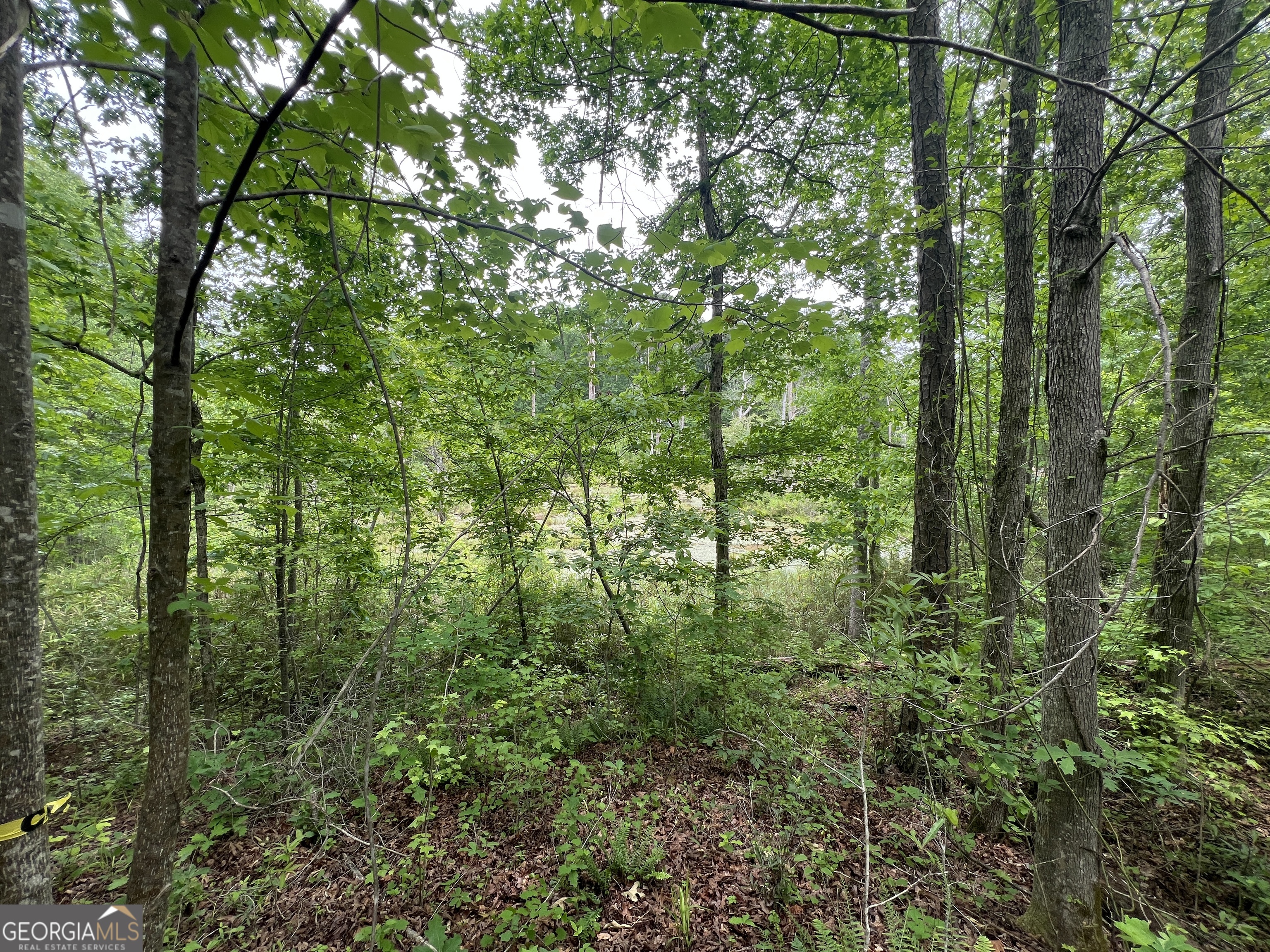 0 Bethlehem Church Road Grantville, GA 30220 - Photo 13 of 22