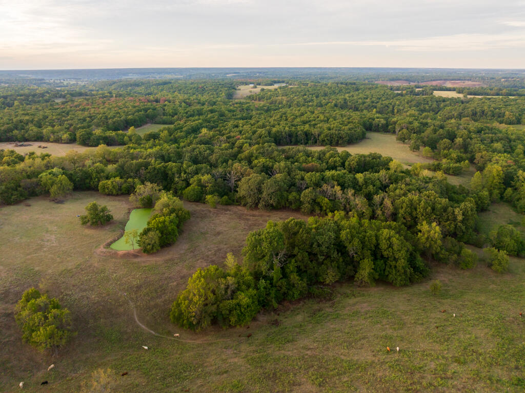 0 Atkins Road Stella, MO 64867 - Photo 14 of 51 McDonald 296 (MLS)--18