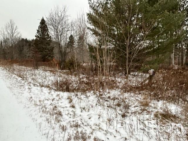 Tbd4 Larson Road Atlantic Mine, MI 49905 - Photo 8 of 41 Gallery Image 8