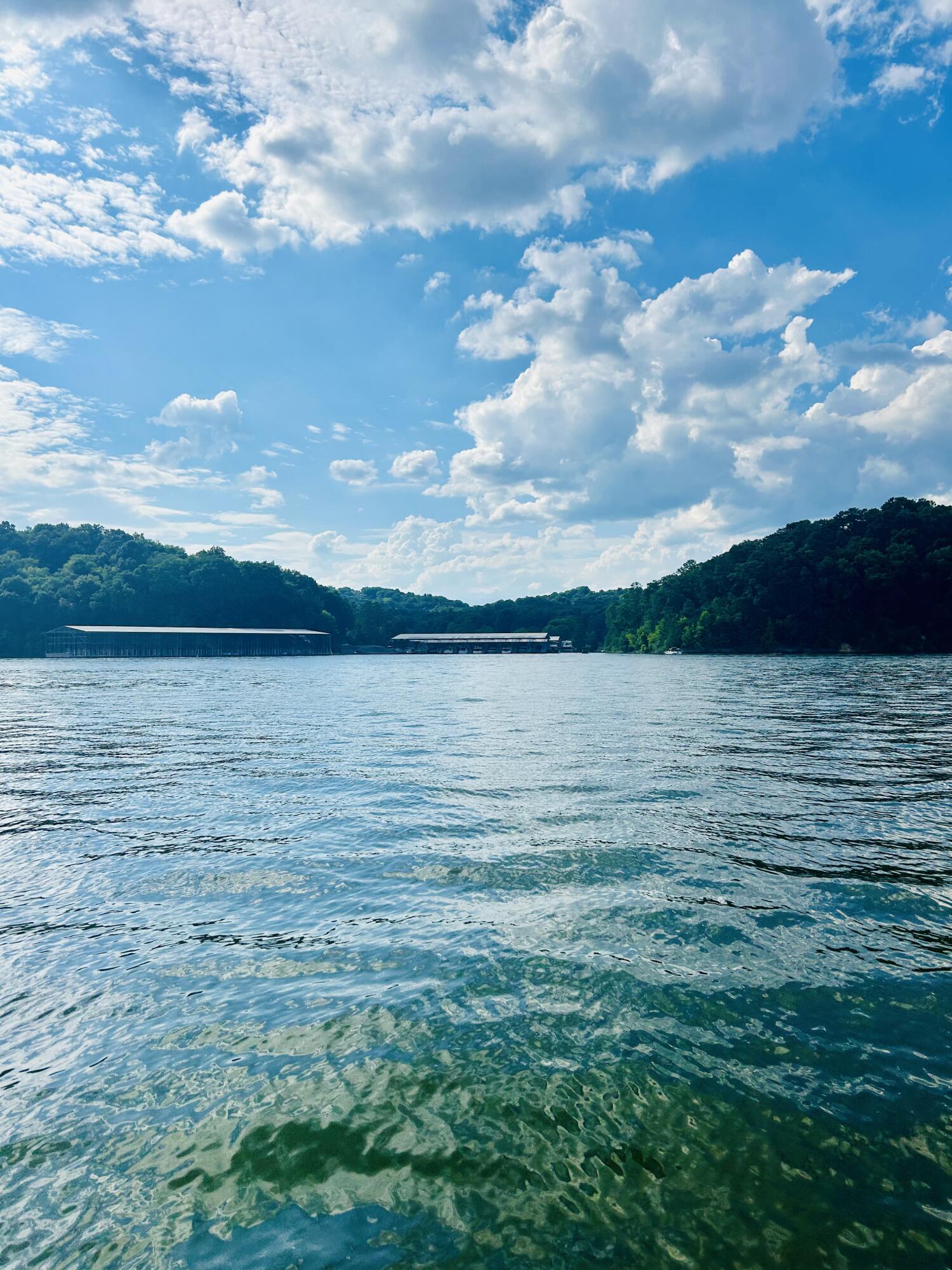 5349 Fairview Road Hixson, TN 37343 - Photo 53 of 64 Chickamauga Lake