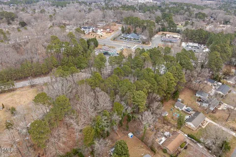 a view of a yard with plants and large trees