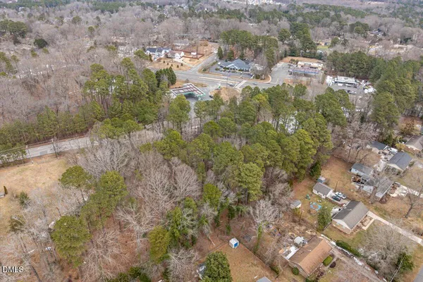 a view of a yard with plants and large trees
