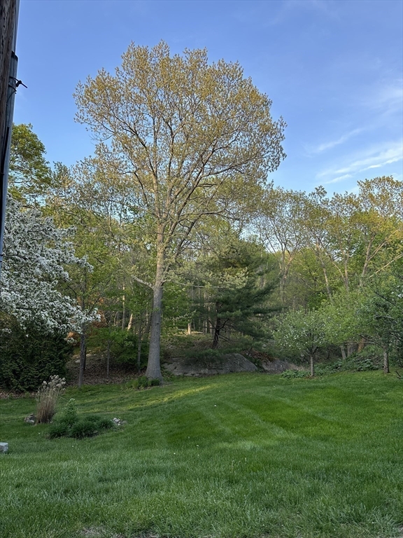 2 Orchard Lane Manchester, MA 01944 - Photo 10 of 16