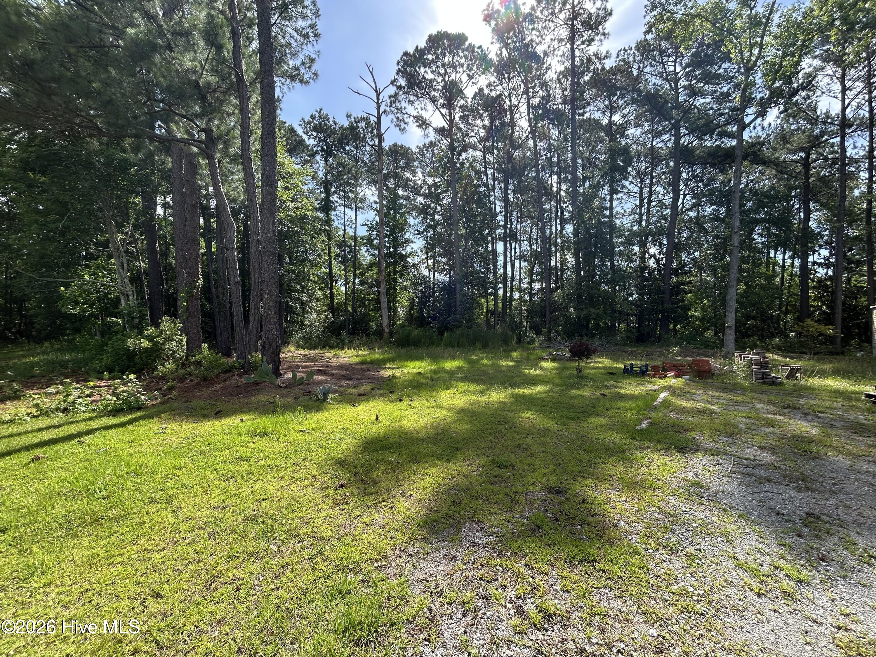 142 High Bluff Trail Hubert, NC 28539 - Photo 6 of 9 IMG_4872