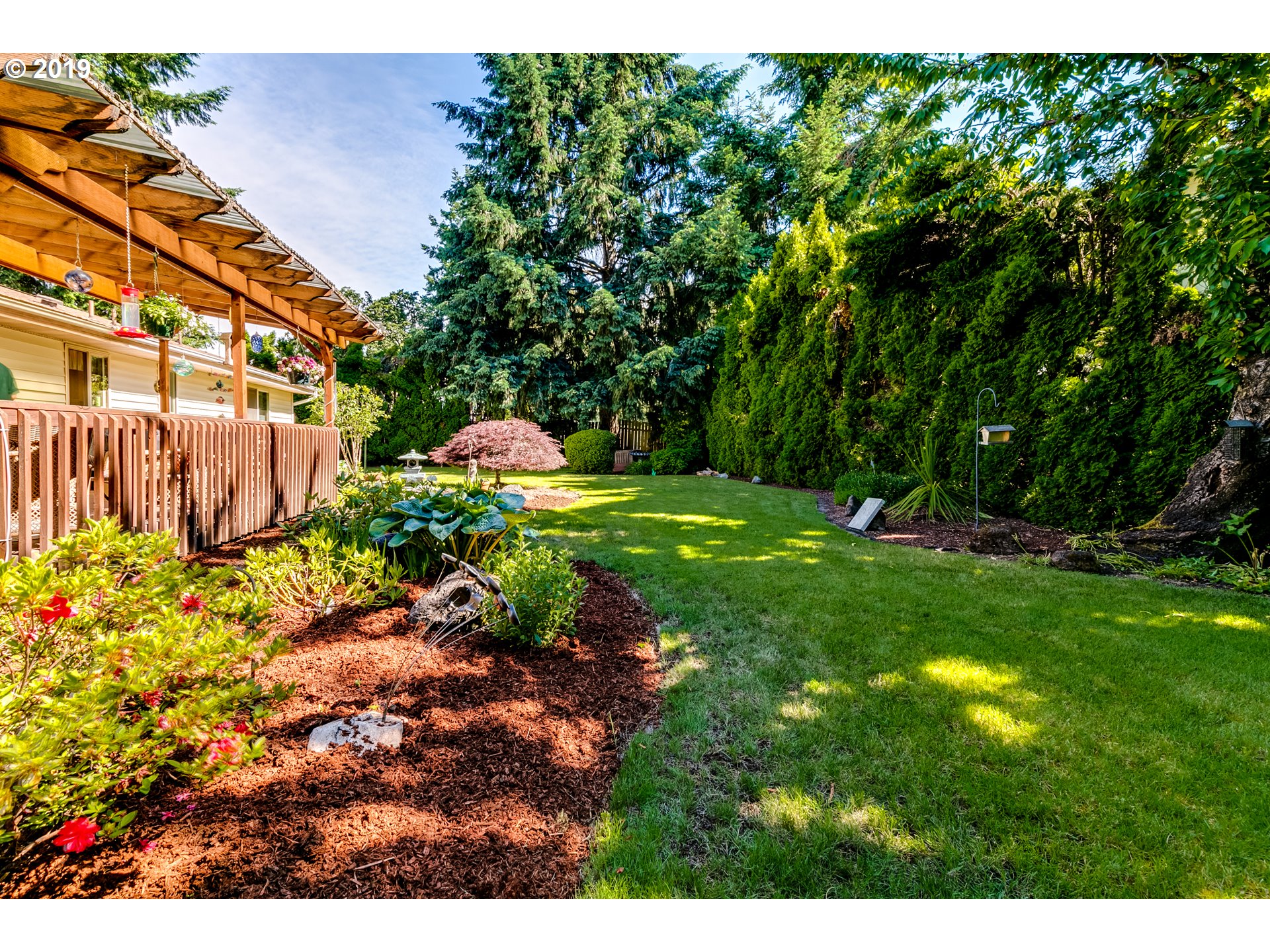 537 66th Street Springfield, OR 97478 - Photo 29 of 32 a view of a park with large trees