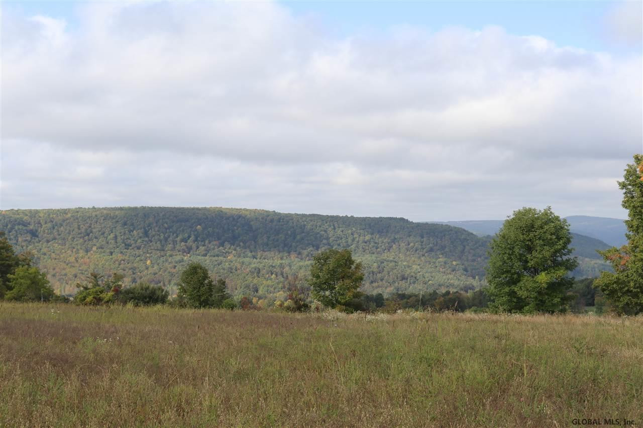 0 Simons Road Altamont, NY 12009 - Photo 1 of 13 Photo 1