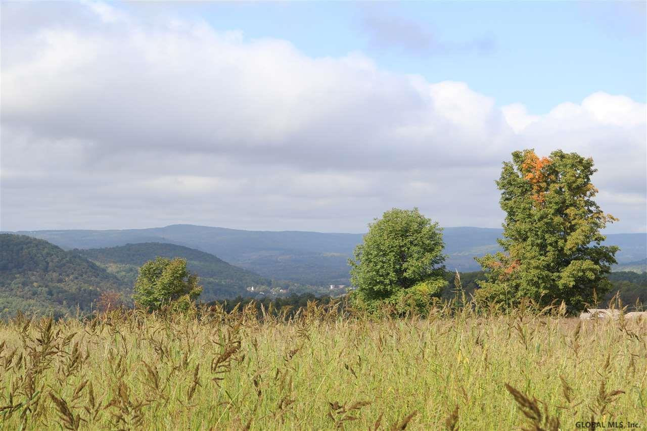 0 Simons Road Altamont, NY 12009 - Photo 12 of 13 Photo 12