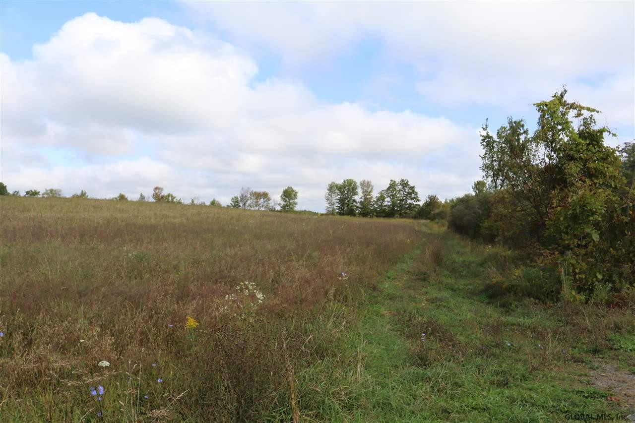0 Simons Road Altamont, NY 12009 - Photo 4 of 13 Photo 4