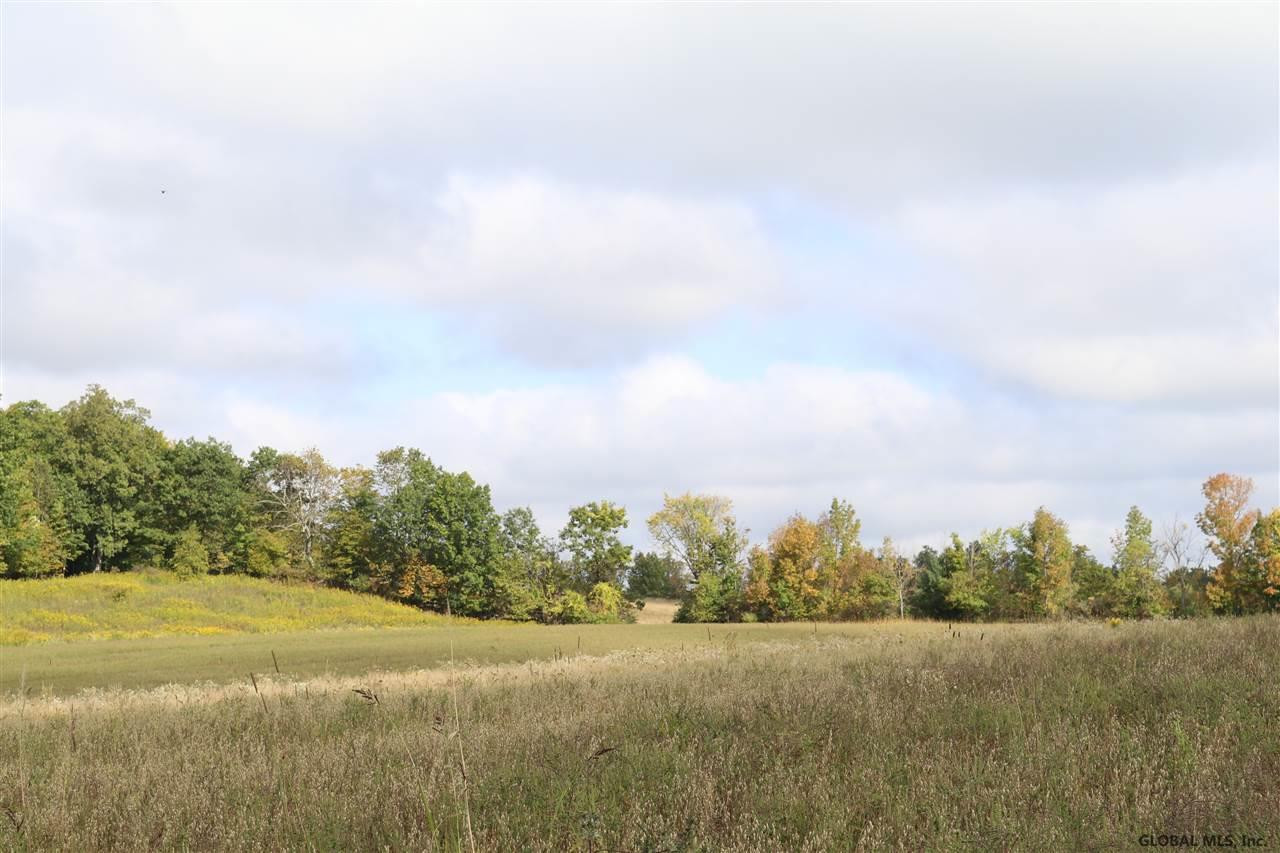 0 Simons Road Altamont, NY 12009 - Photo 5 of 13 Photo 5