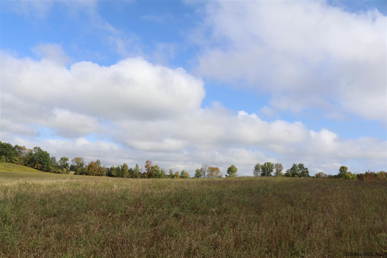 0 Simons Road Altamont, NY 12009 - Photo 6 of 13 Photo 6