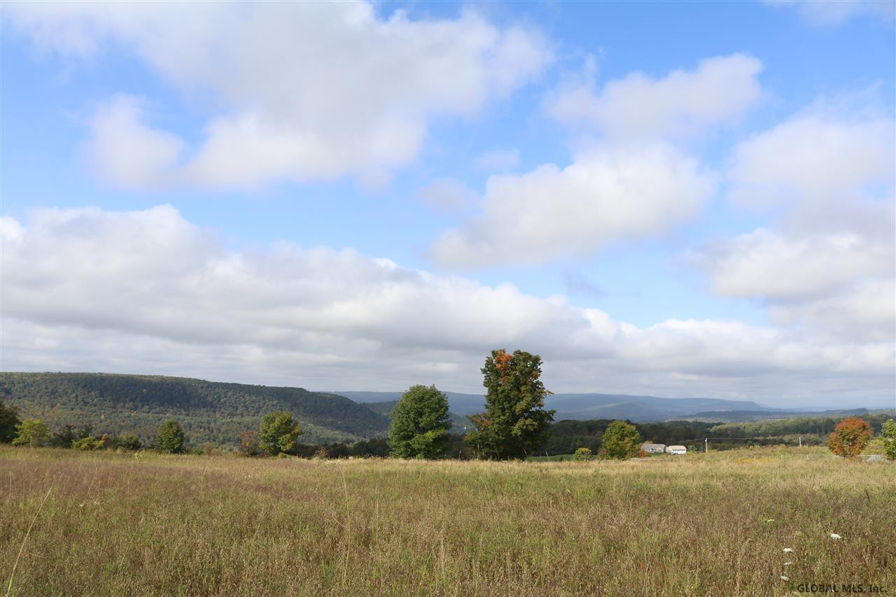 0 Simons Road Altamont, NY 12009 - Photo 7 of 13 Photo 7